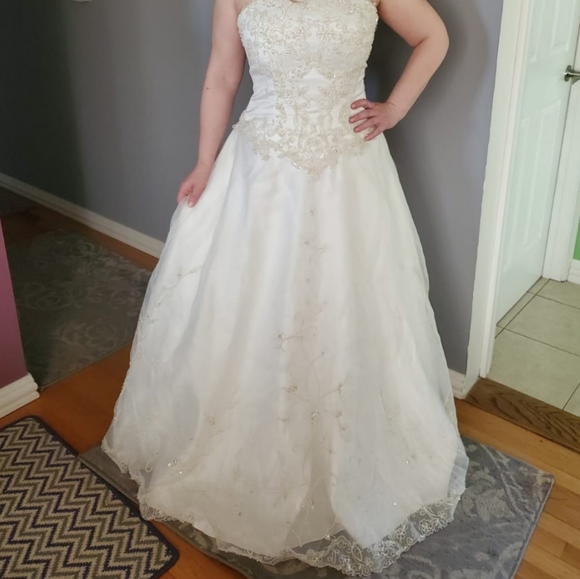 David's Bridal Wedding Dress - Picture 5 of 15